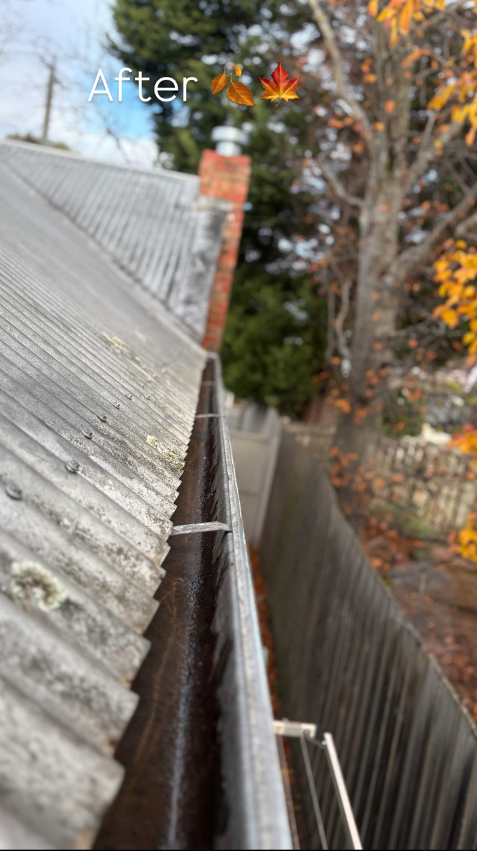 After - Autumn Leaf Clearance
