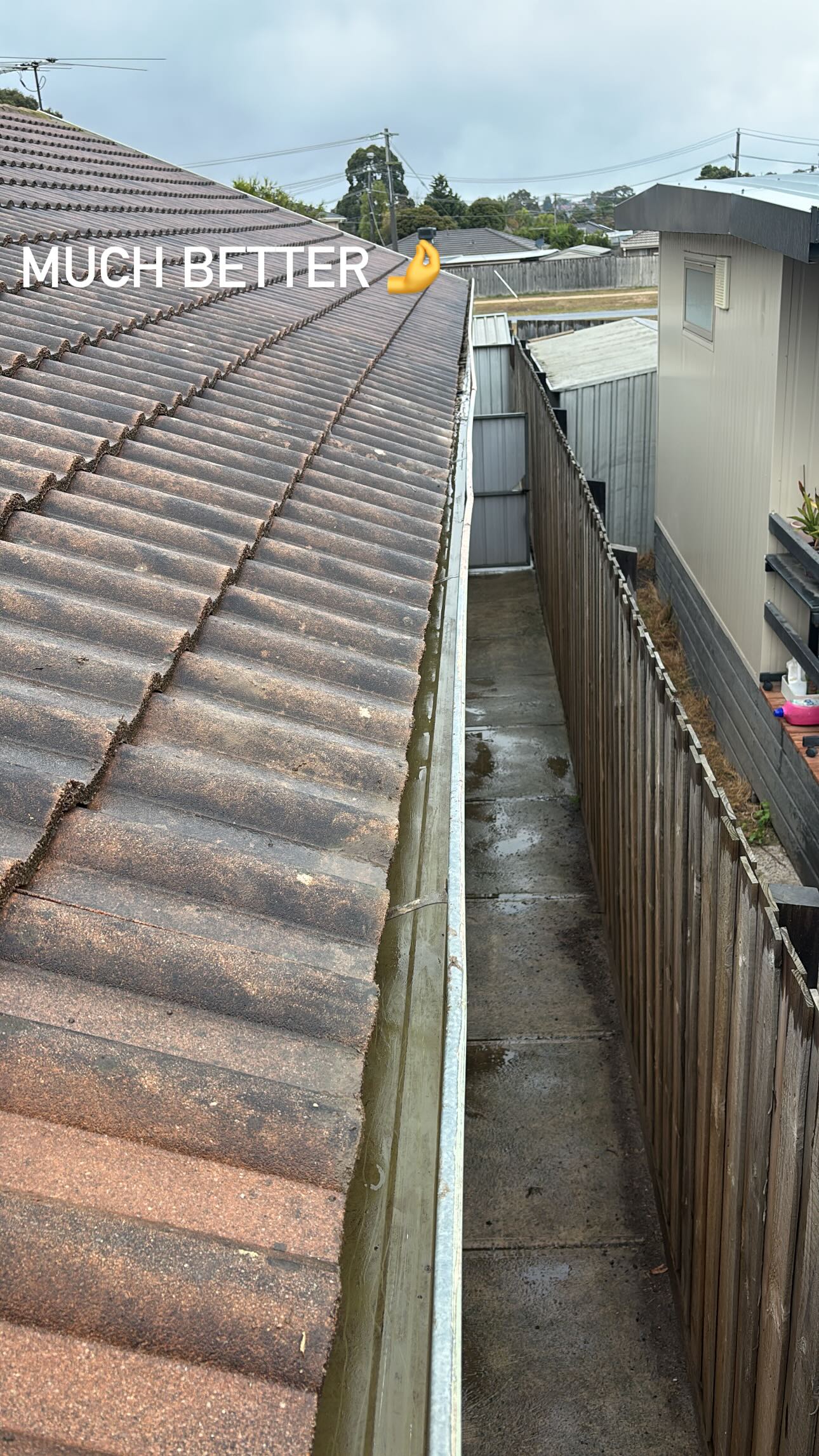 After - Overgrown Gutter Vegetation Removal