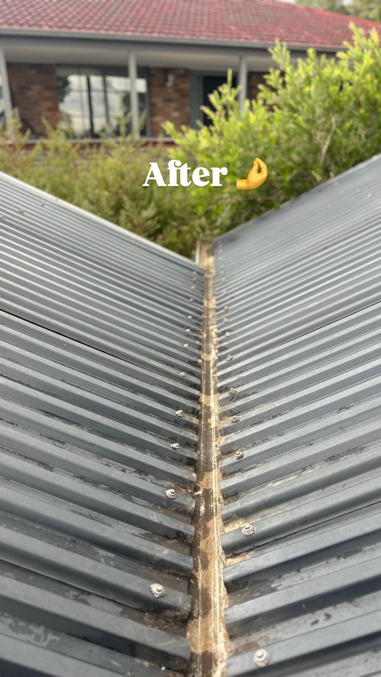 After - Roof Valley Debris Clean-up