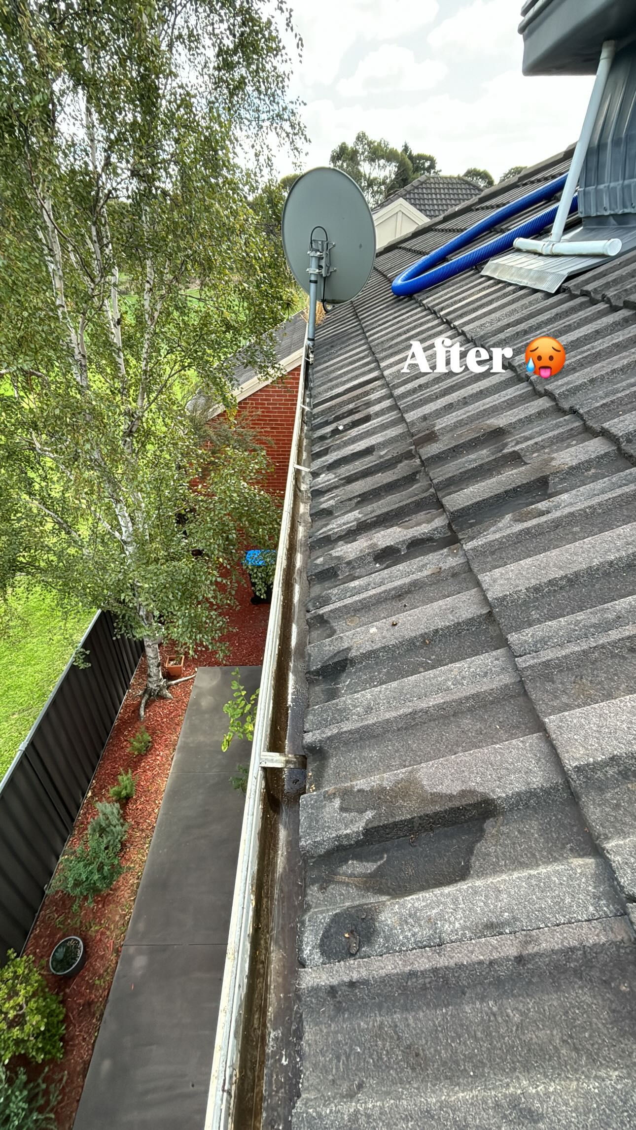 After - Heavy Gutter Debris Removal