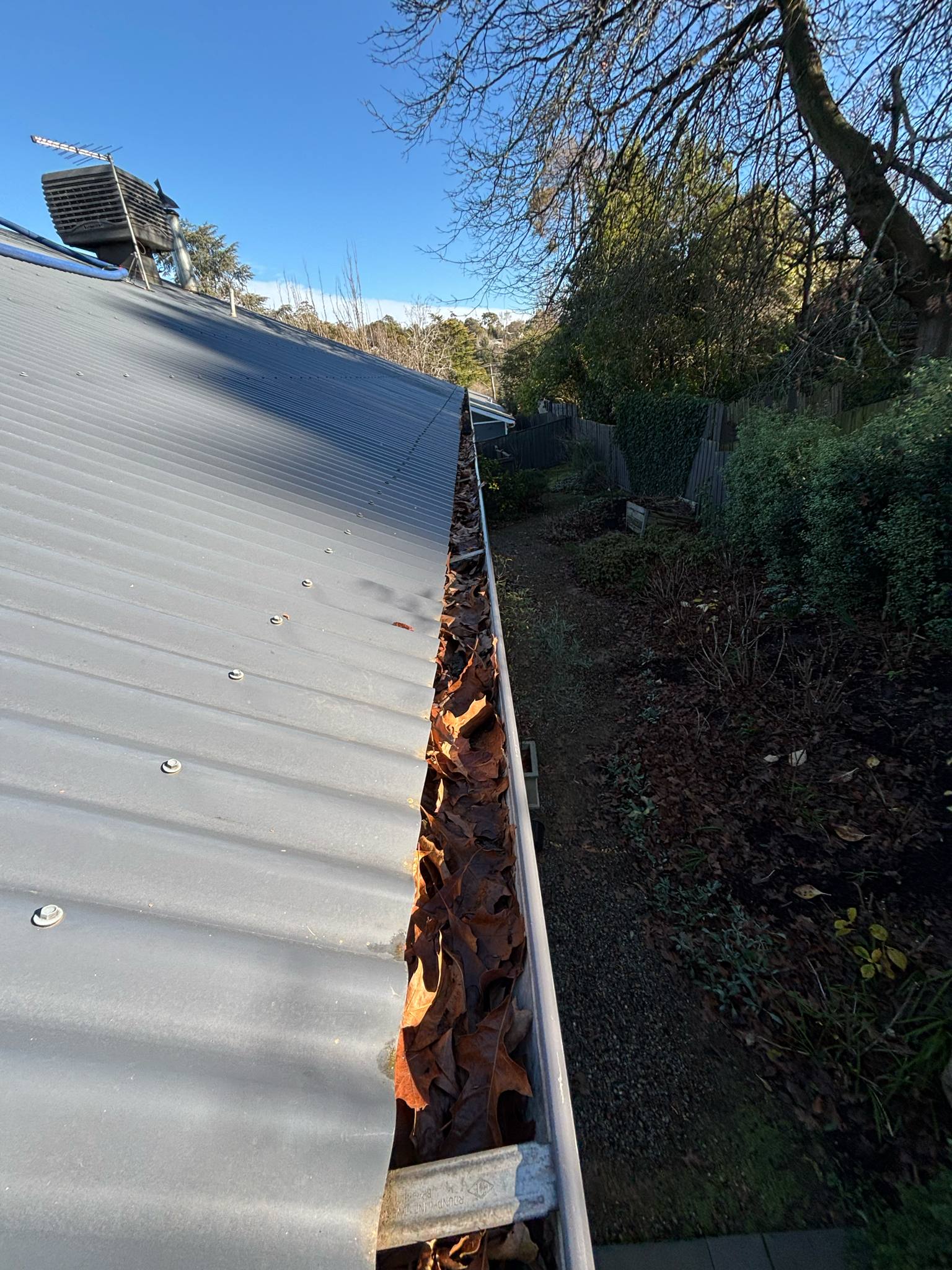 Before - Vegetation and Debris Removal
