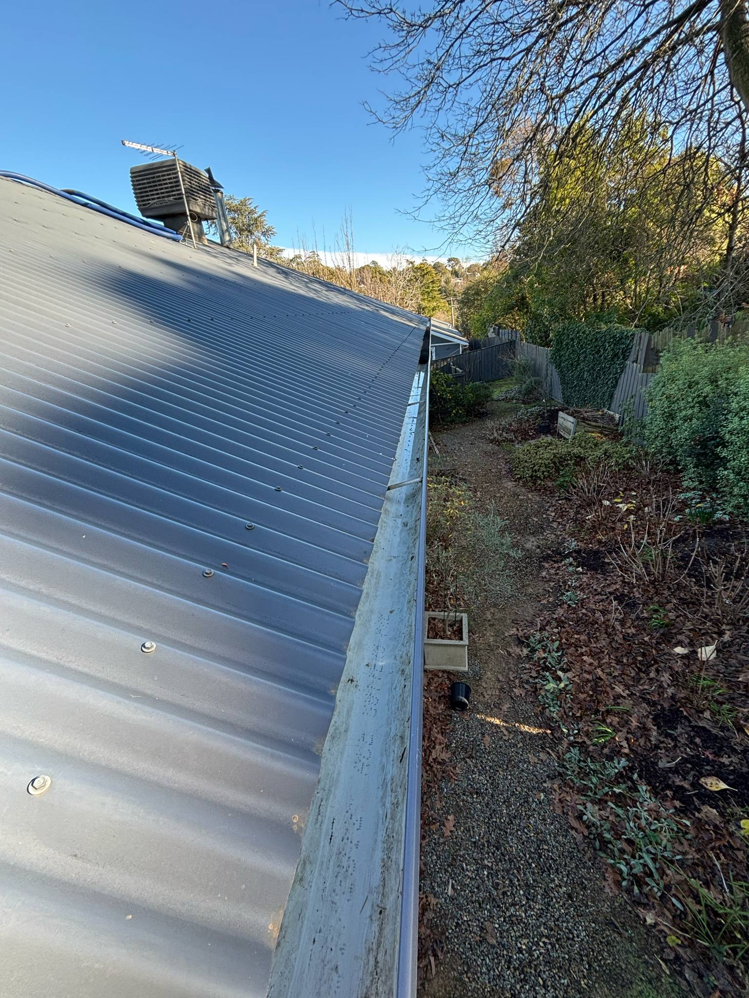 After - Vegetation and Debris Removal