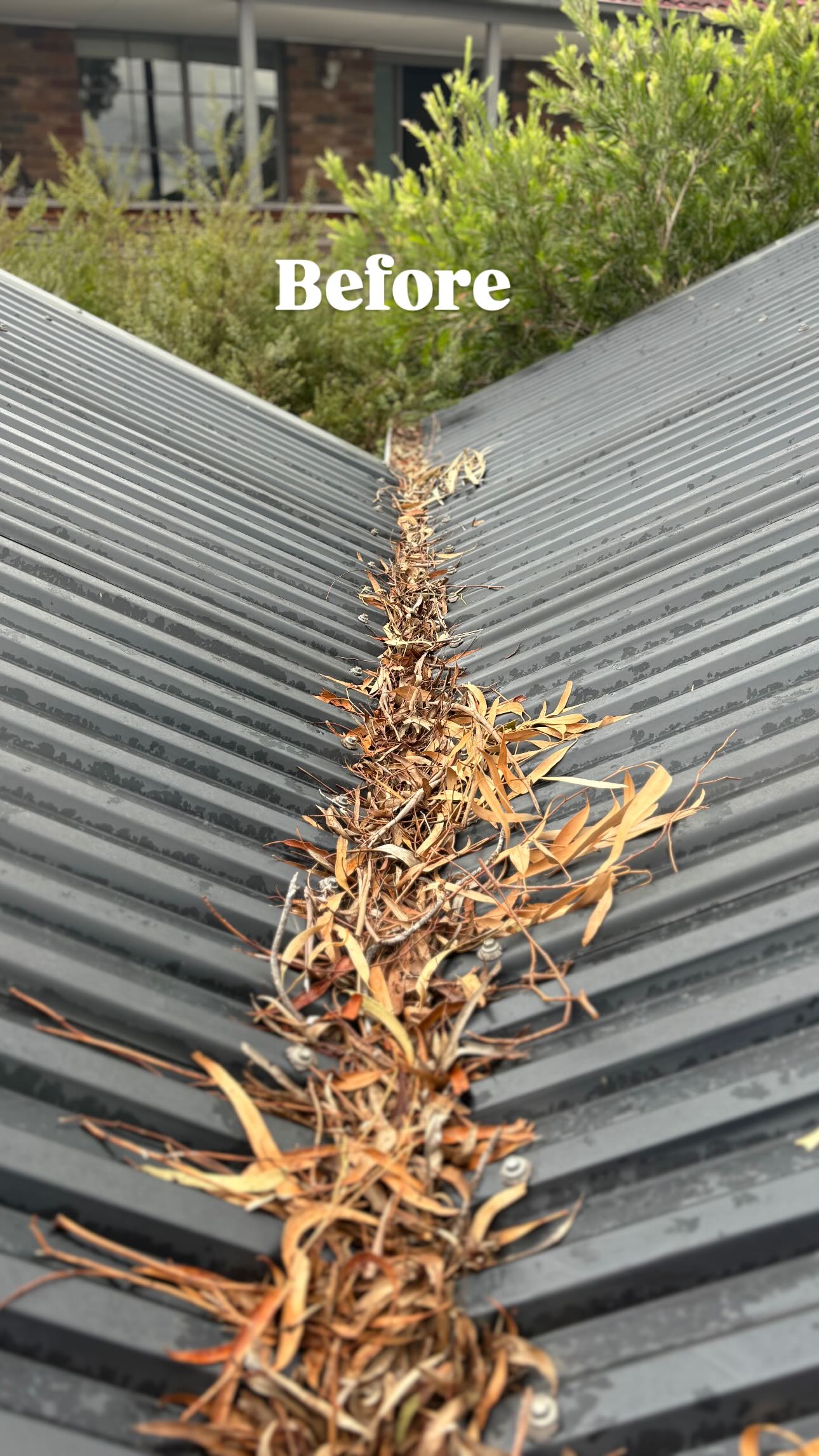 Before - Roof Valley Debris Clean-up