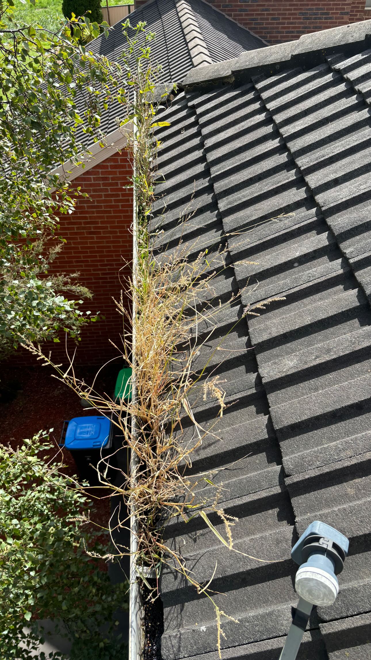 Before - Heavy Gutter Debris Removal