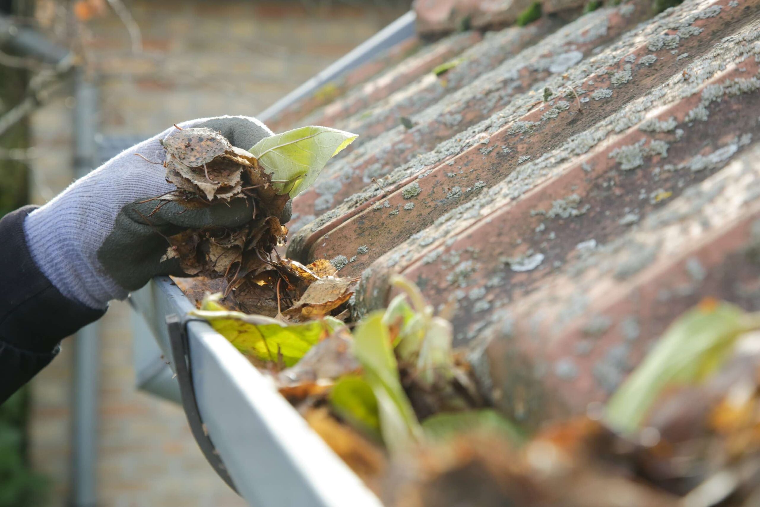 Domestic Gutter Cleaning in action